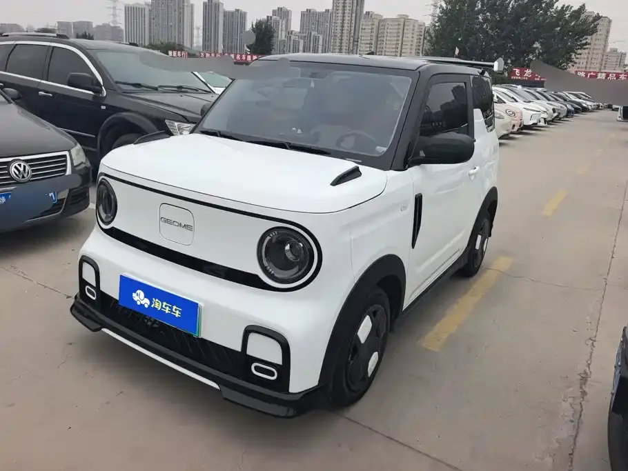 Geely Galaxy Panda Model Year 210km Panda Kart 2025