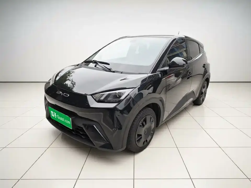 BYD Seagull Vitality Edition 2024