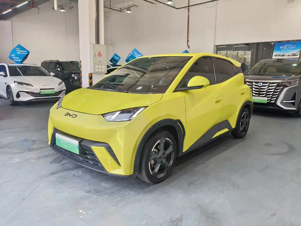 BYD Seagull Flying Edition 2023