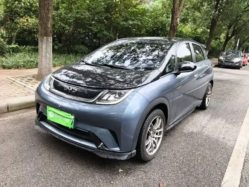 BYD Dolphin Glory Edition 401km Knight Edition 2024