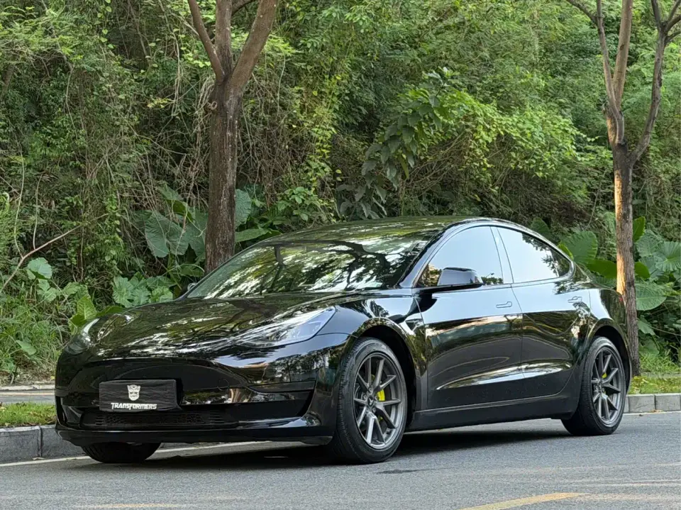 Tesla Model 3 Model Rear-Wheel Drive Version 2022