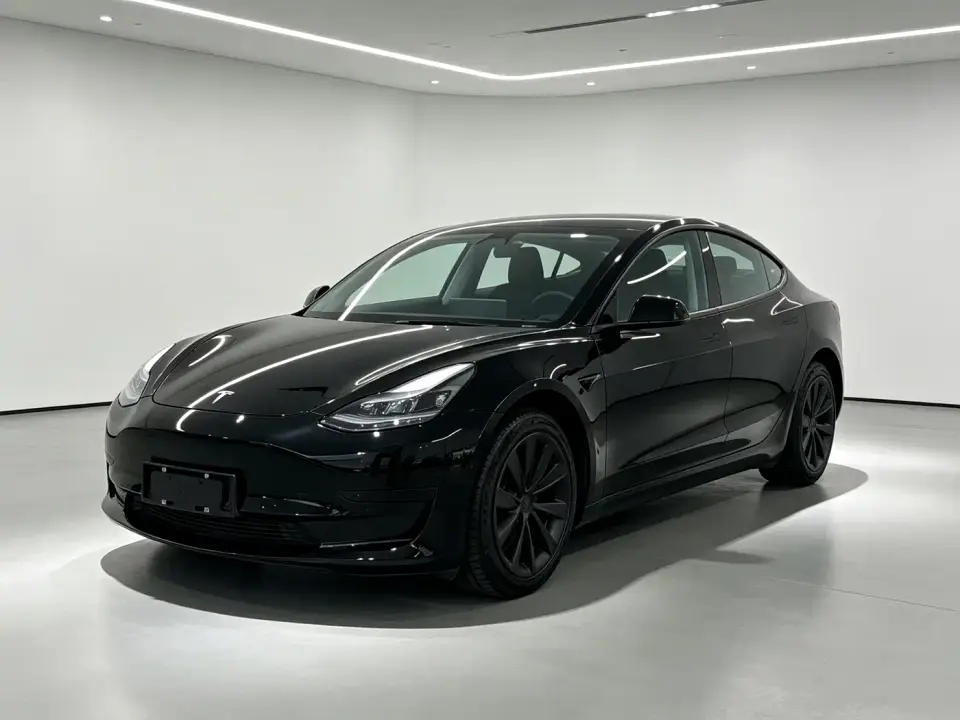 Tesla Model 3 Standard Range Rear-Wheel Drive Upgrade 3D6 2021