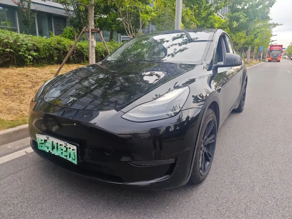 Tesla Model Y Rear-Wheel Drive Version 2022