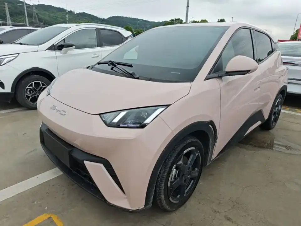BYD Seagull Glory Edition 305km Freedom Edition 2024
