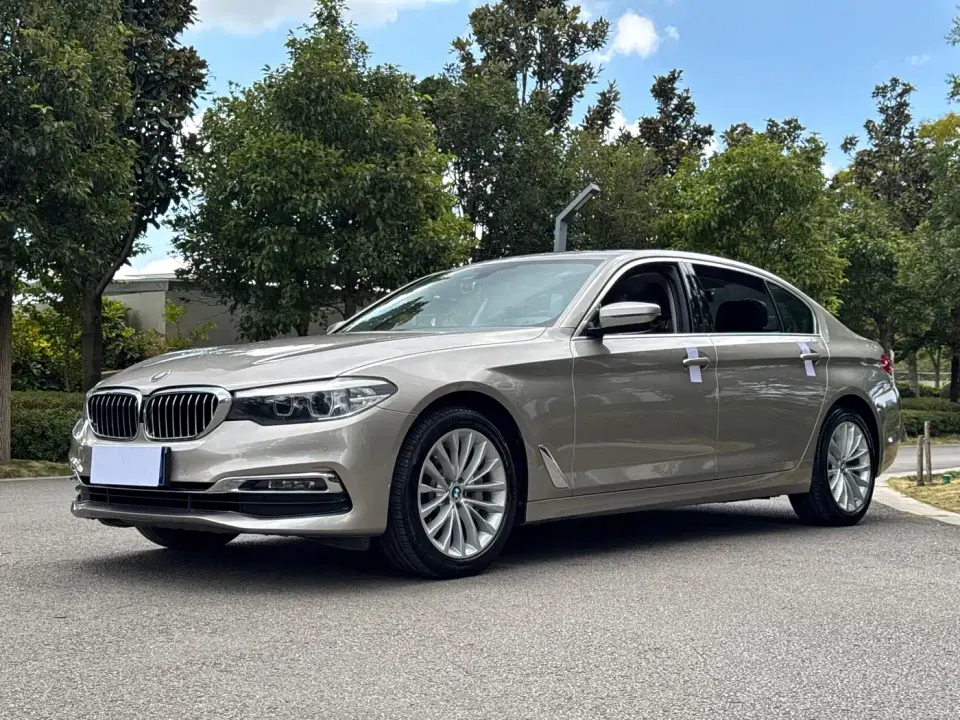 BMW 5 Series 530Li Leading Luxury Package 2019