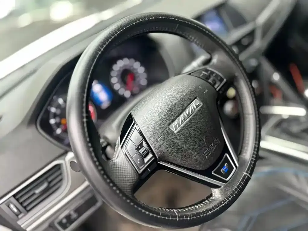 Haval H6 Blue Label Sport 1.5T Manual 2WD Elite 2019 — фото 15