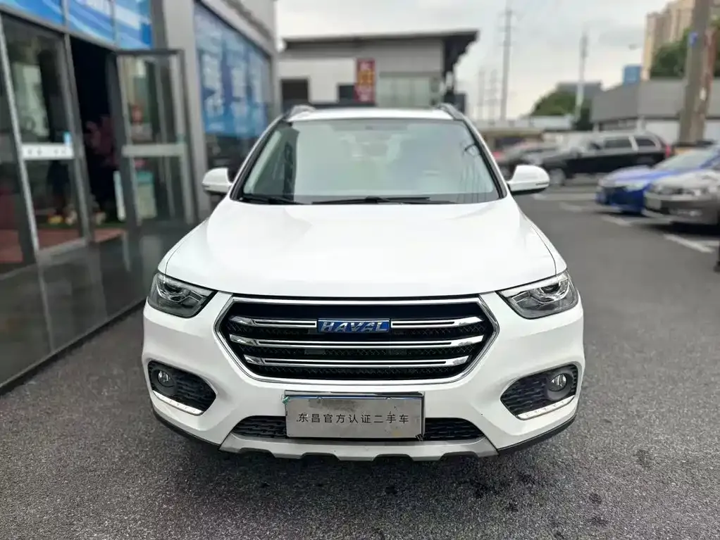 Haval H6 Blue Label Sport 1.5T Manual 2WD Elite 2019 — фото 4