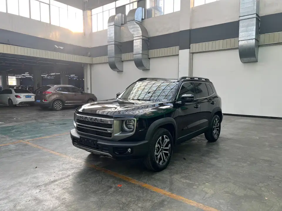 Haval Big Dog 1.5T DCT Border Collie Edition 2024
