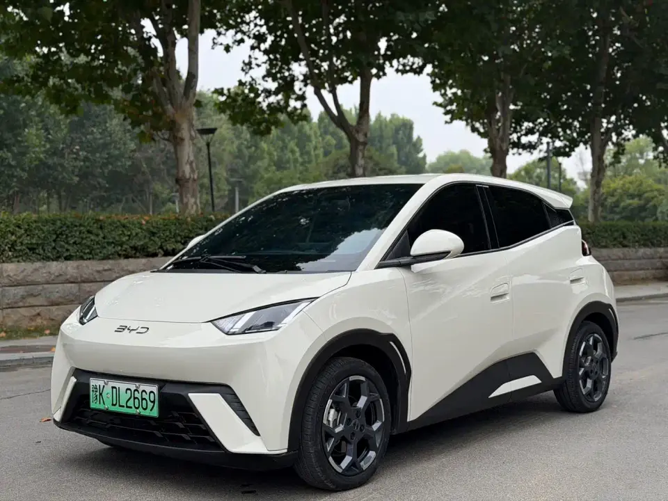 BYD Seagull 305km Freedom 2025