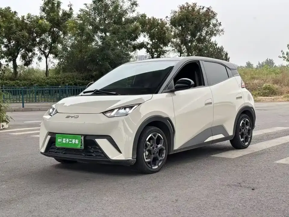 BYD Seagull 405km Soaring 2024