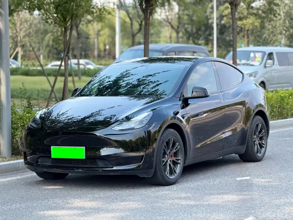 Tesla Model Y Long Range All-Wheel Drive 3D7 2021