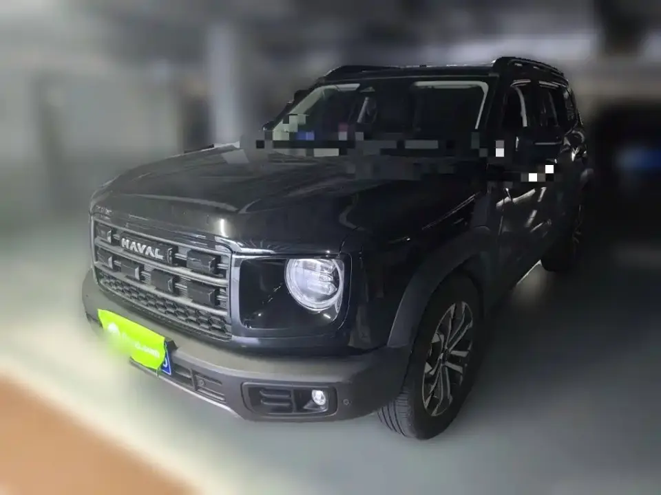 Haval Big Dog 1.5T DCT Border Collie Edition 2025
