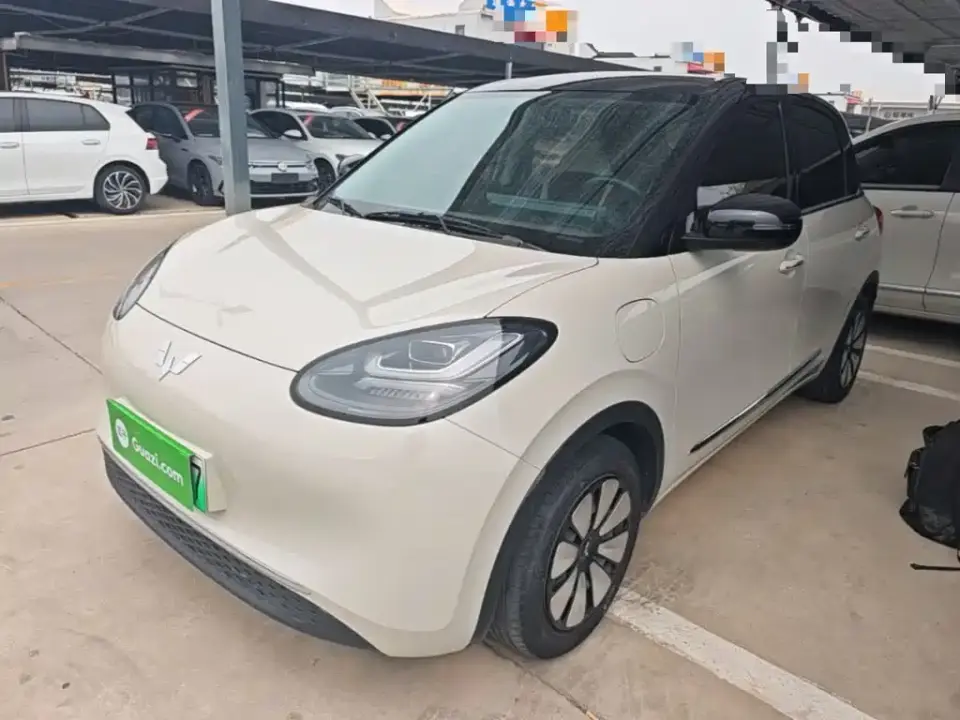 Wuling Motors Wuling Bingo 333km Comfort Edition 2024