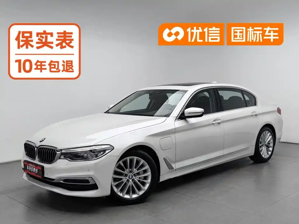 BMW 5 Series New Energy 530Le Luxury Package 2020