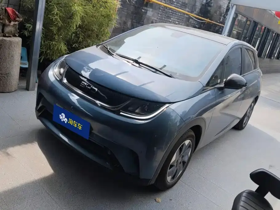 BYD Dolphin Glory Edition 420km Fashion Edition 2025