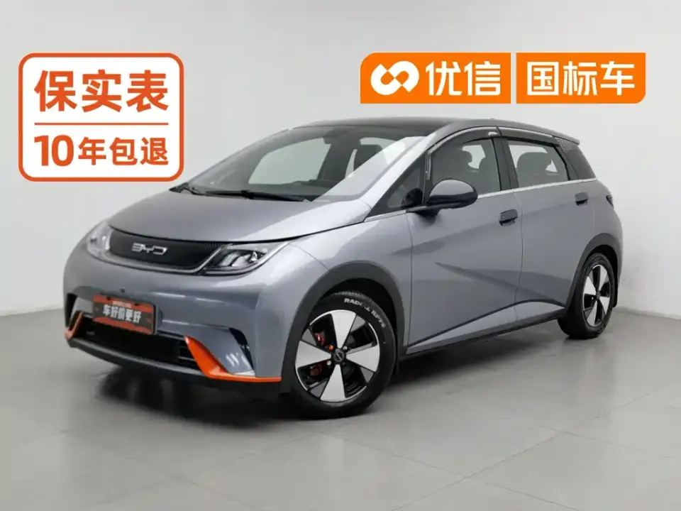 BYD Dolphin 420km Fashion Edition 2024