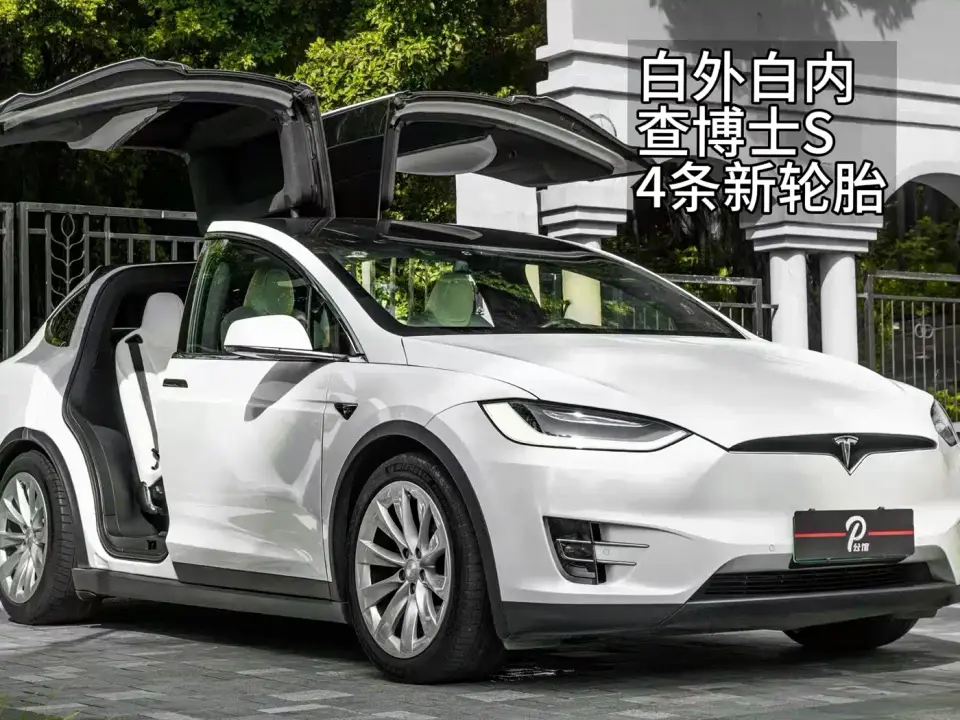 Tesla Model X Long Range Version 2020