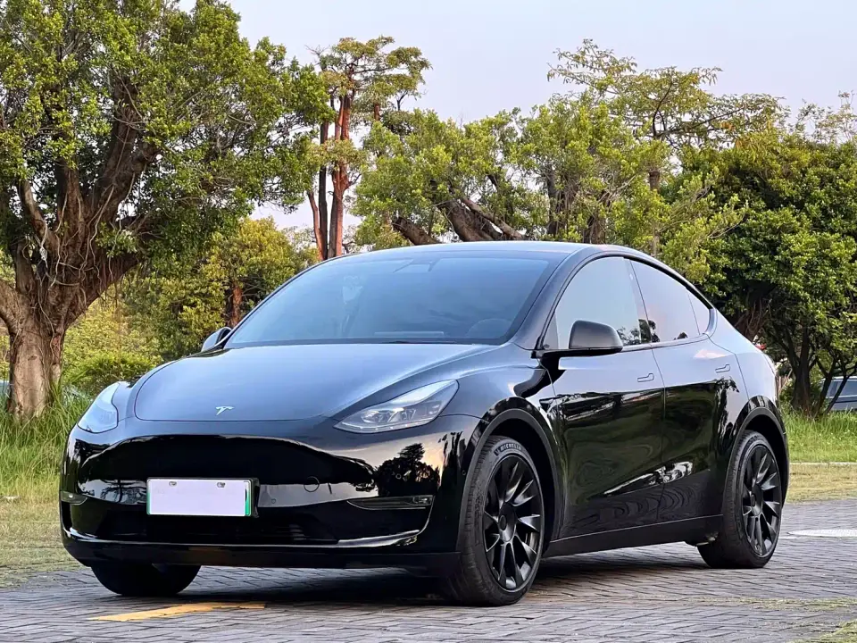 Tesla Model Y Standard Range Rear-Wheel Drive 2021