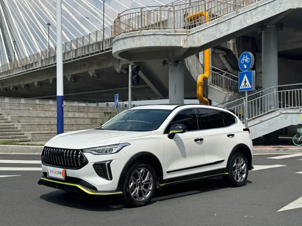Haval Chitu Power Edition 1.5T Purple Copper Rabbit 2023