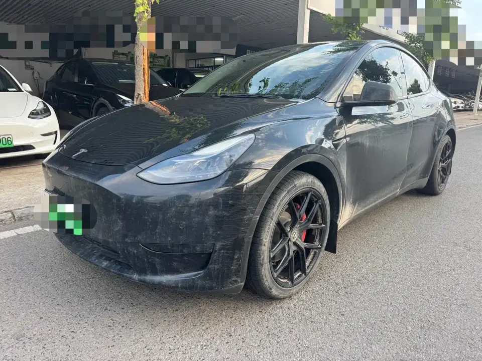 Tesla Model Y Rear-Wheel Drive Version 2022