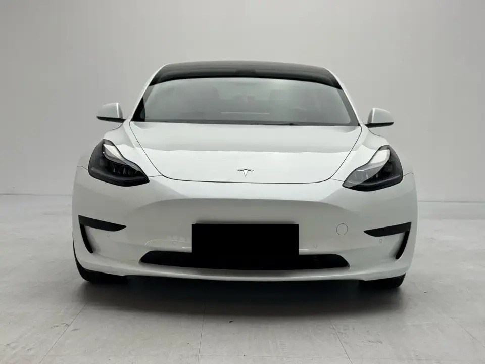 Tesla Model 3 Model Rear-Wheel Drive Version 2022
