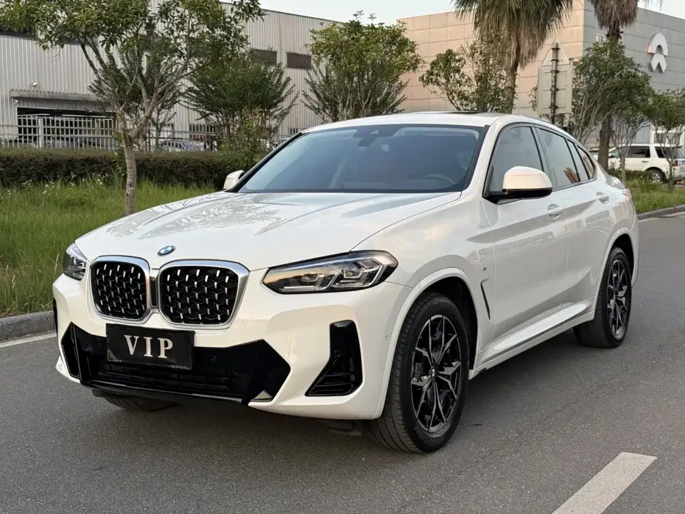 BMW X4 xDrive 25i M Sport Package 2022
