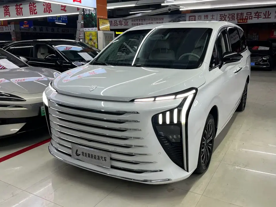 Dongfeng Fengxing Starlight V9 1.5TD 200km Cloud Ladder Series Premium 2024