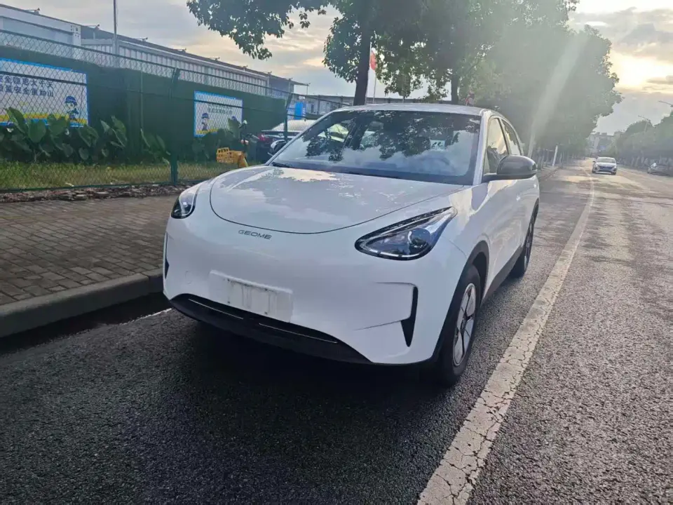 Geely Galaxy Starry Wish 310km Youth Edition 2024