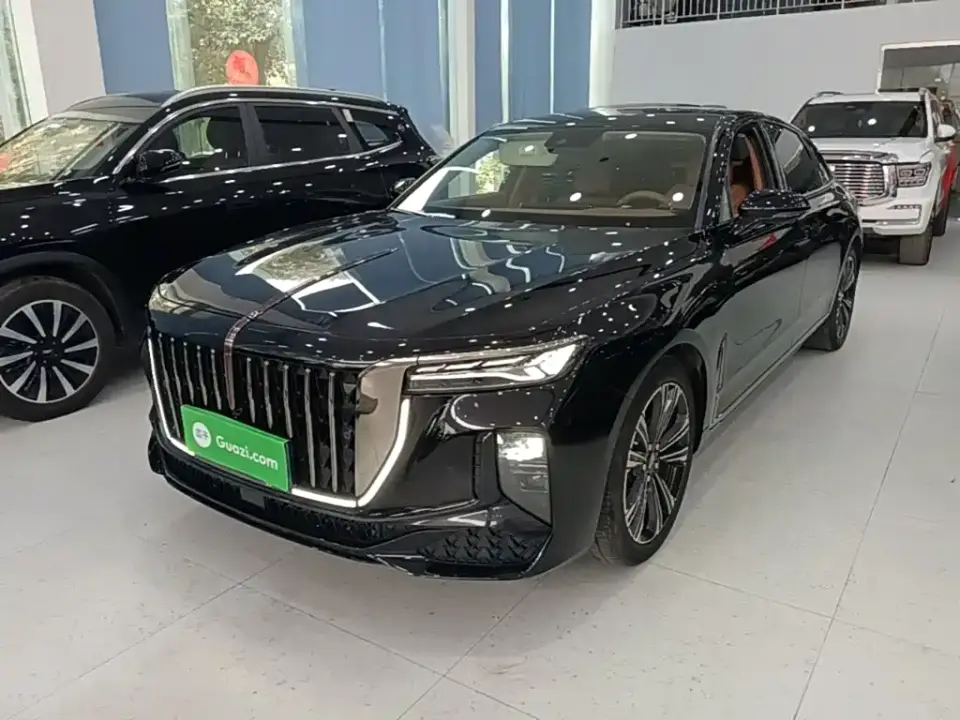 Hongqi H9 2.0T Qi Enjoy Private Fashion Edition 2024