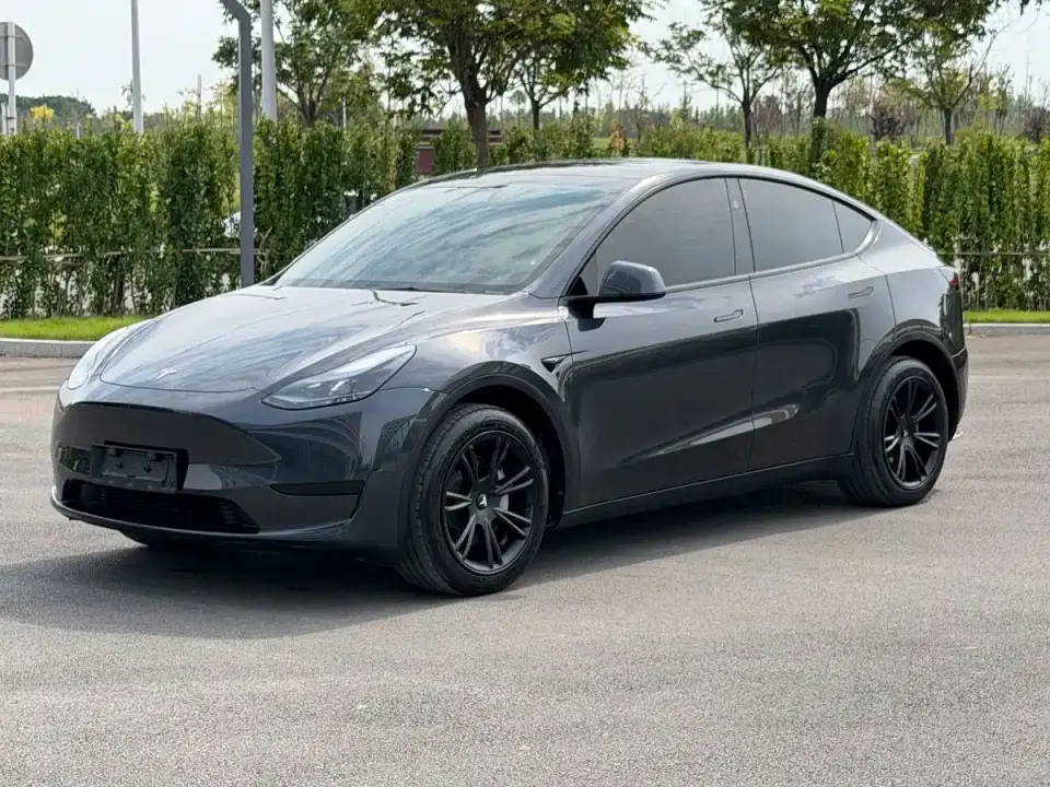 Tesla Model Y Rear-Wheel Drive Version 2024
