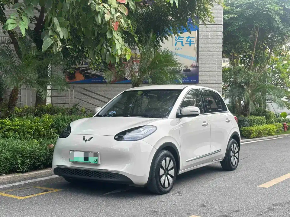 Wuling Motors Wuling Bingo Model 203km Lite Enjoyment Edition 2023