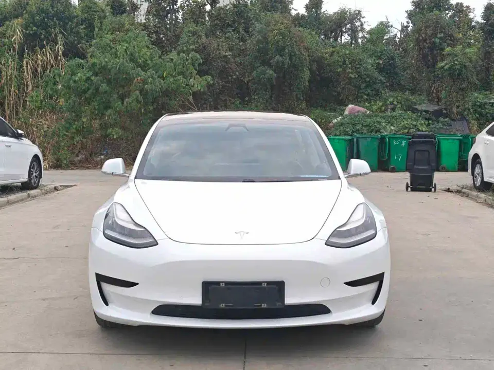 Tesla Model 3 Standard Range Rear-Wheel Drive Upgrade 2020