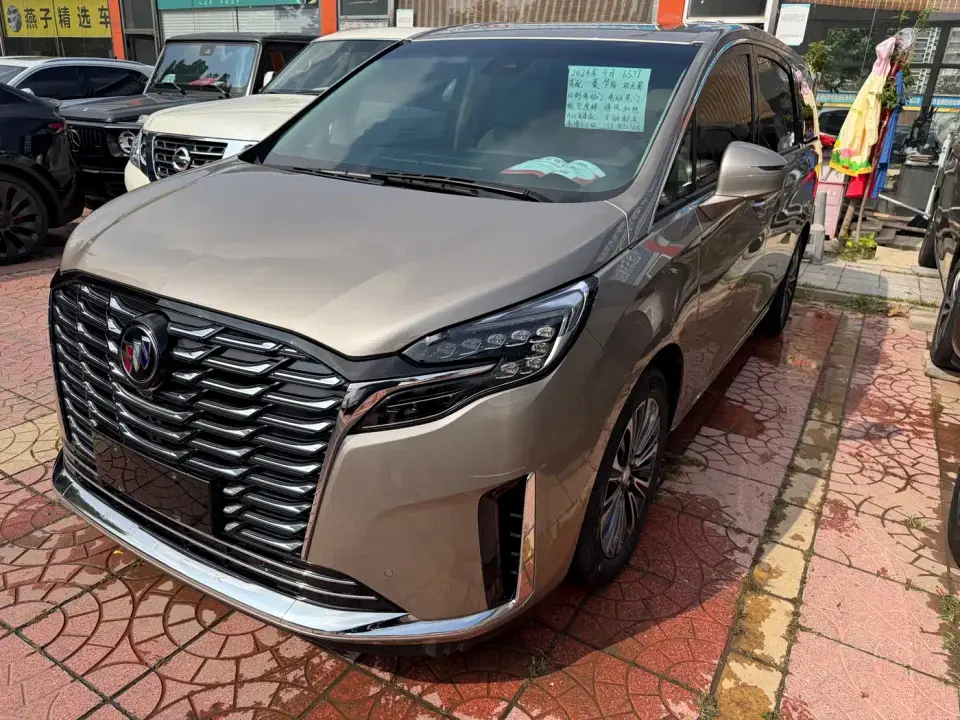 Buick GL8 ES Landmaster Luxury 2024