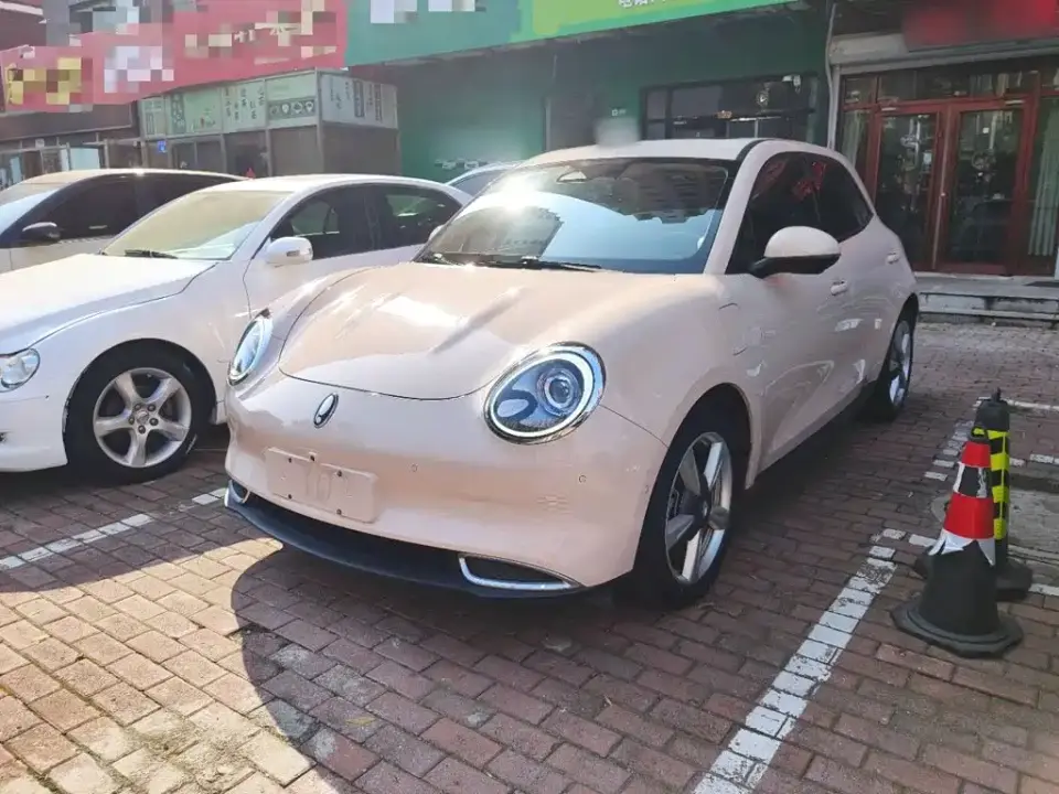 ORA Good Cat 400km Standard Range Athena Edition (LFP) 2022