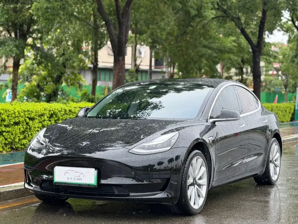 Tesla Model 3 Standard Range Rear-Wheel Drive Upgrade 2020