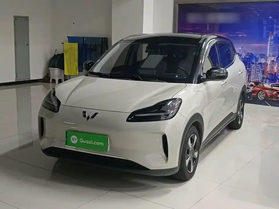 Wuling Motors Wuling Binguo PLUS 401km Range 5-seater 2024
