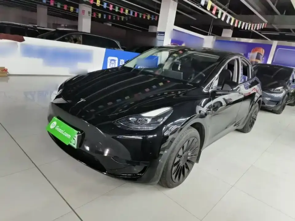 Tesla Model Y Rear-Wheel Drive Version 2024