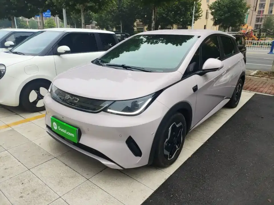 BYD Dolphin Smart Drive Edition 420km Freedom Version 2025