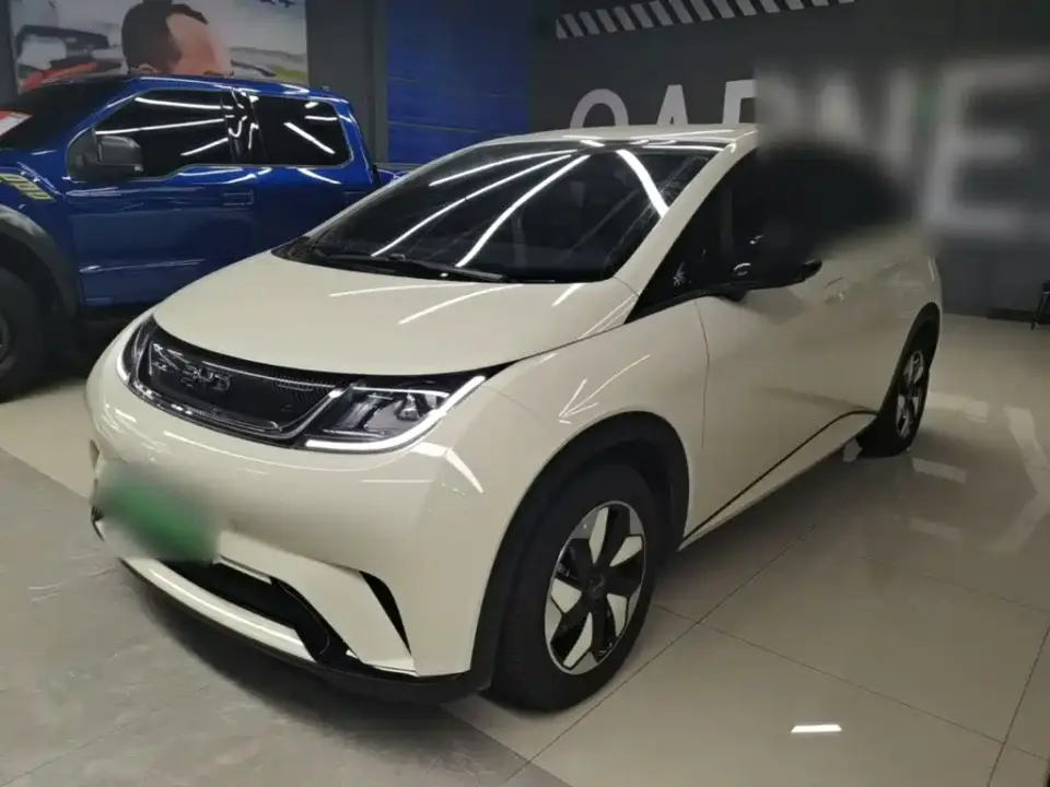 BYD Dolphin 420km Freedom Edition 2024