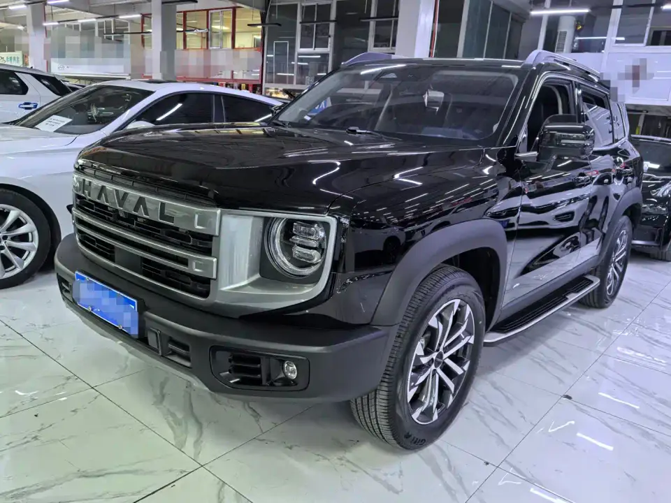 Haval Big Dog 1.5T DCT Border Collie Edition 2023