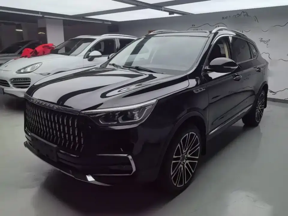 Leopaard Mattu 1.6T GDI DCT Premium Edition 2019