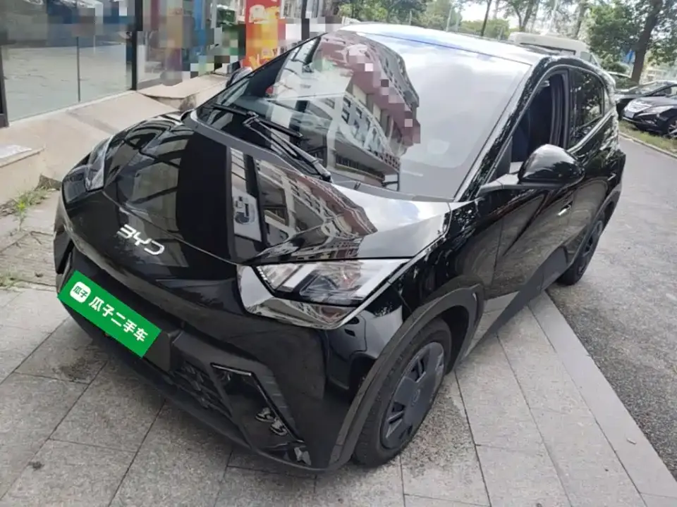 BYD Seagull 305km Vitality 2025