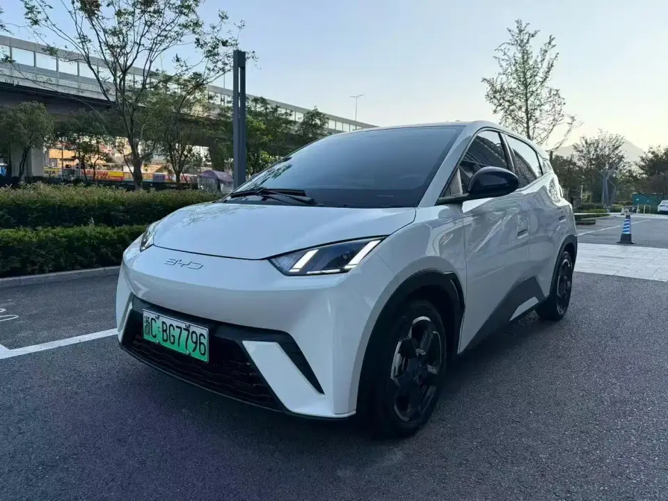 BYD Seagull Glory Edition 305km Freedom Edition 2023