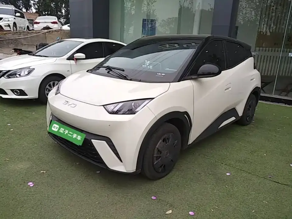 BYD Seagull Glory Edition 305km Vitality Edition 2024