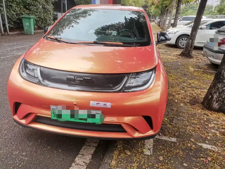 BYD Dolphin 405km Freedom Edition 2022