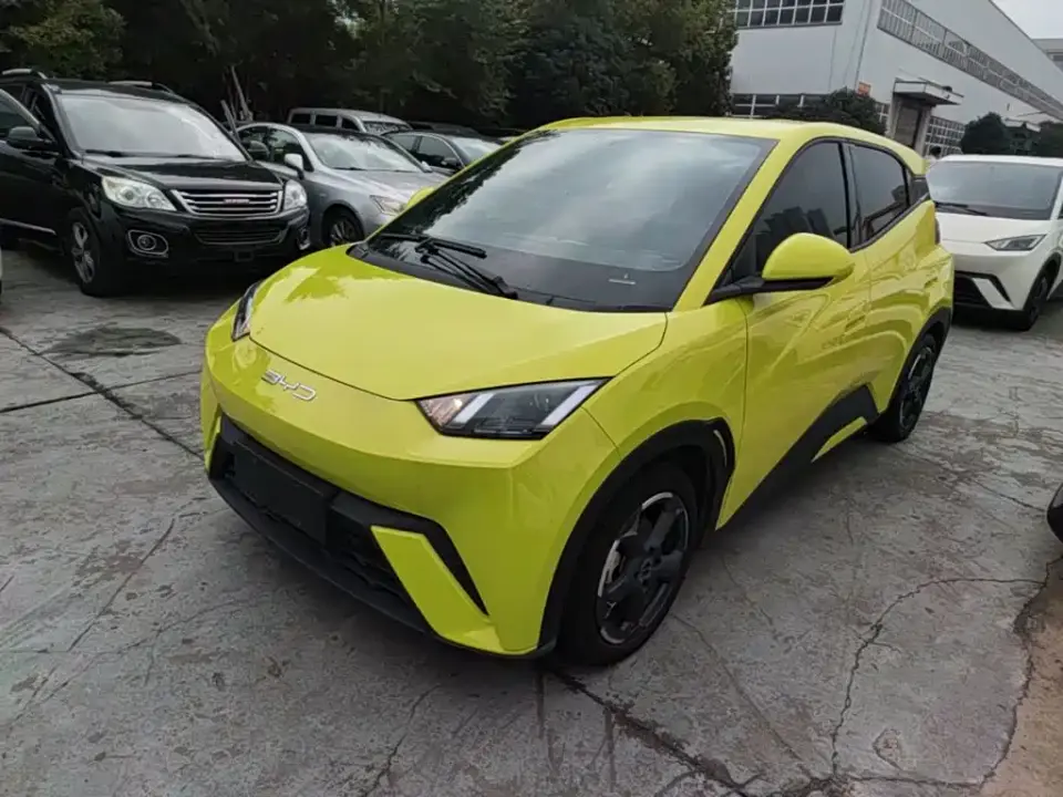 BYD Seagull Freedom Edition 2023