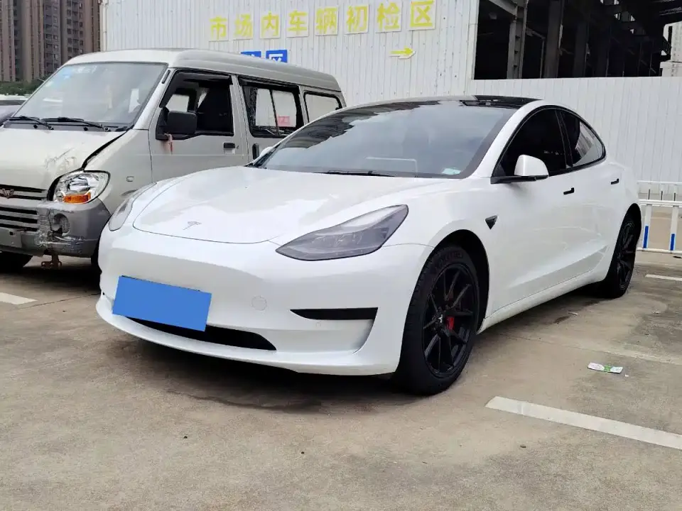 Tesla Model 3 Model Rear-Wheel Drive Version 2022
