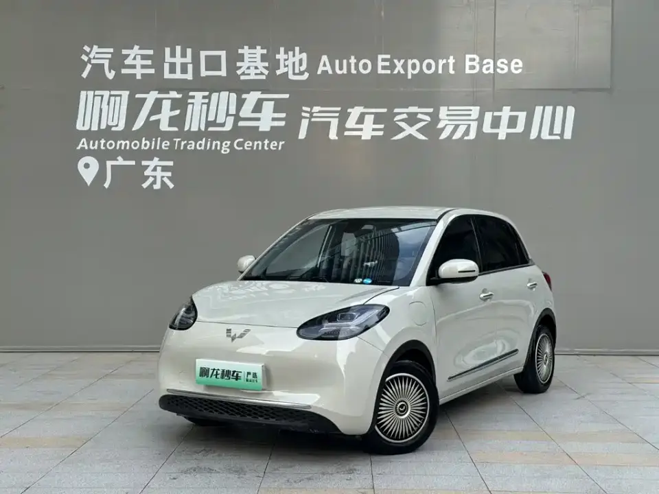 Wuling Motors Wuling Bingo Model 333km Joy+ Version 2023