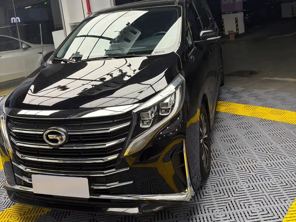 GAC Trumpchi M8 Leading Series 390T Premium Edition 2023