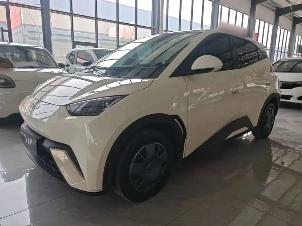 BYD Seagull 305km Vitality 2024